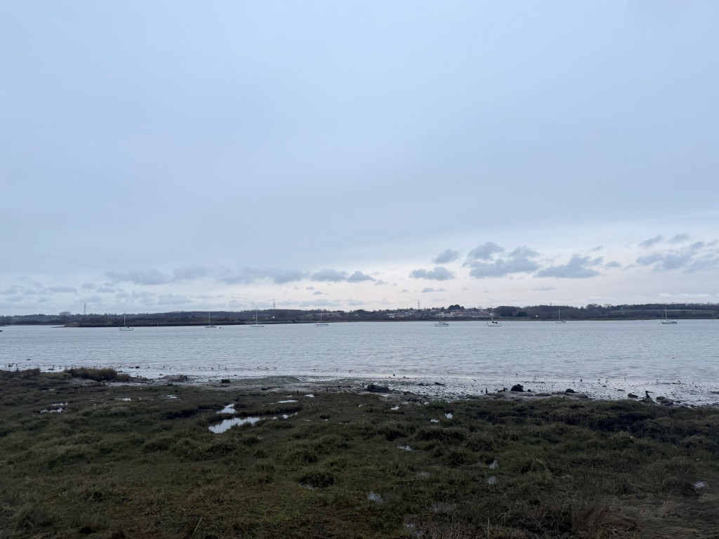 Lot: 112 - OVER HALF AN ACRE OF FREEHOLD PARCEL OF LAND - Shot showing waterfront